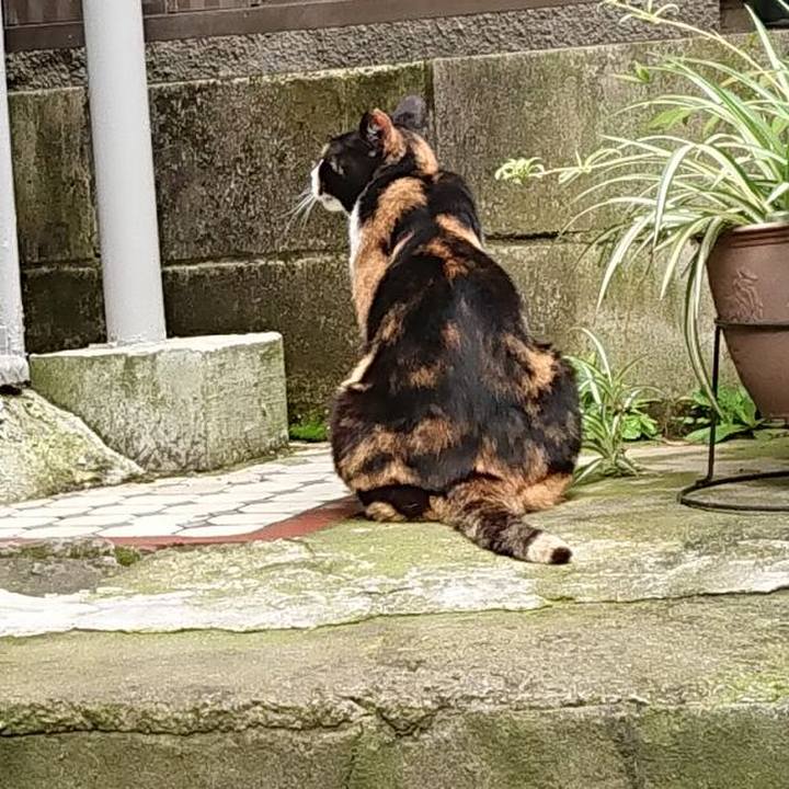 6fb19412 0fe9 46fb 8f06 c5680f026e2c 1688433937520