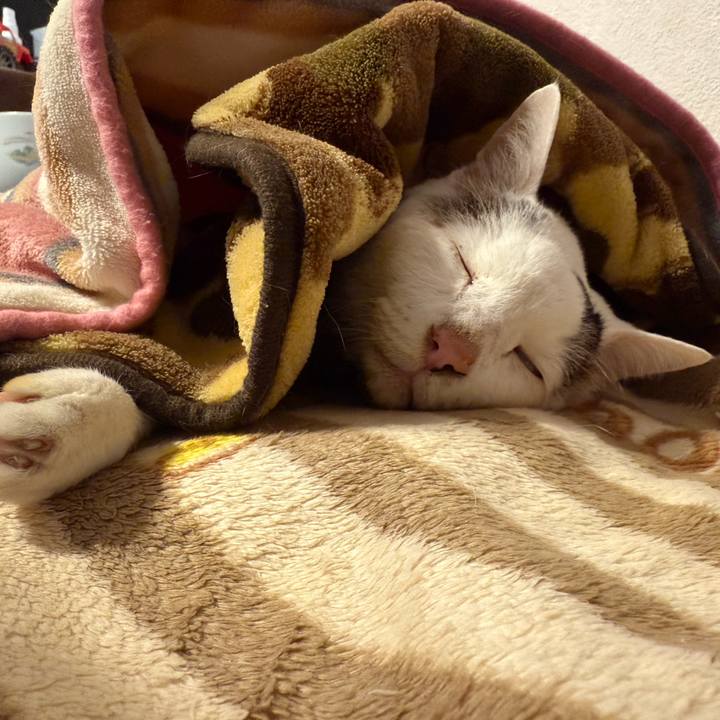 6fb20720 f2e7 4f90 b111 5c9b34a939fc 1767345612170