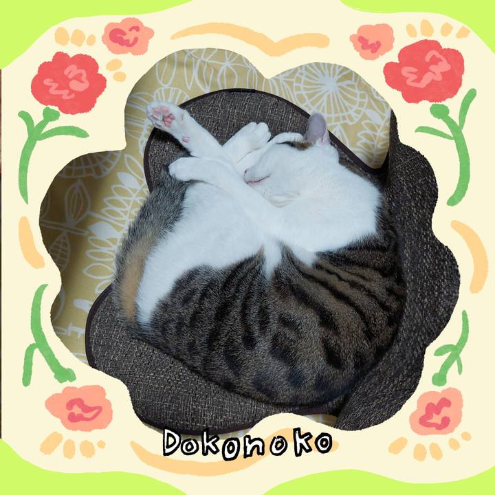 6fb21ada a12d 43ba bf1a 514adce1ba45 1715160956114