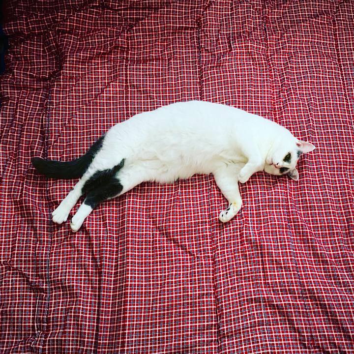 6fb2235a fe1e 4433 929d ec05f1b04b45 1625711460434