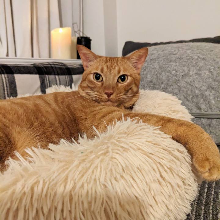 6fb26640 7cd2 401a 88a1 01b25fe718b0 1672495028298