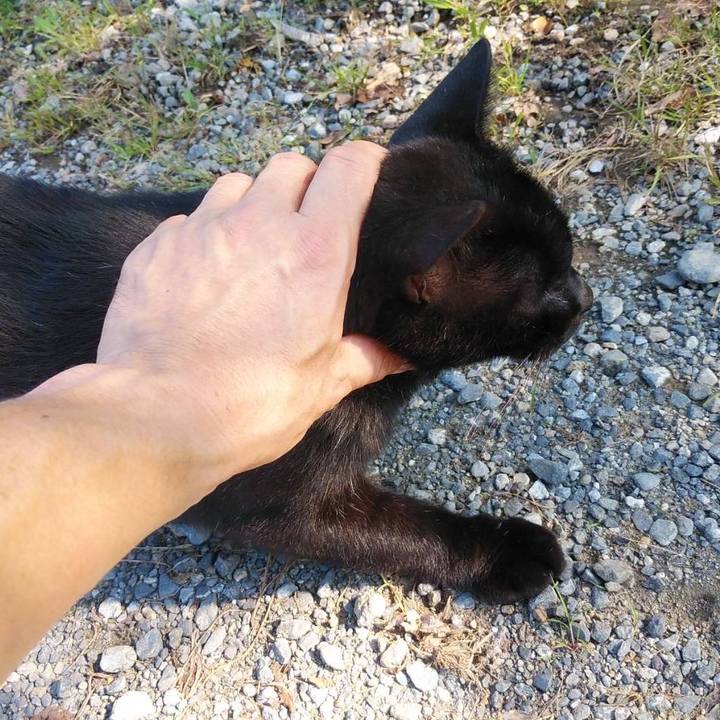 6fb27946 52f0 4be6 85c0 30ecf41a36d6 1569541860184