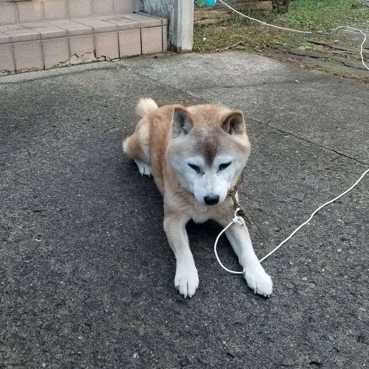 6fb2e9b7 1efe 43c7 ab58 b3643b448936 1762908545637