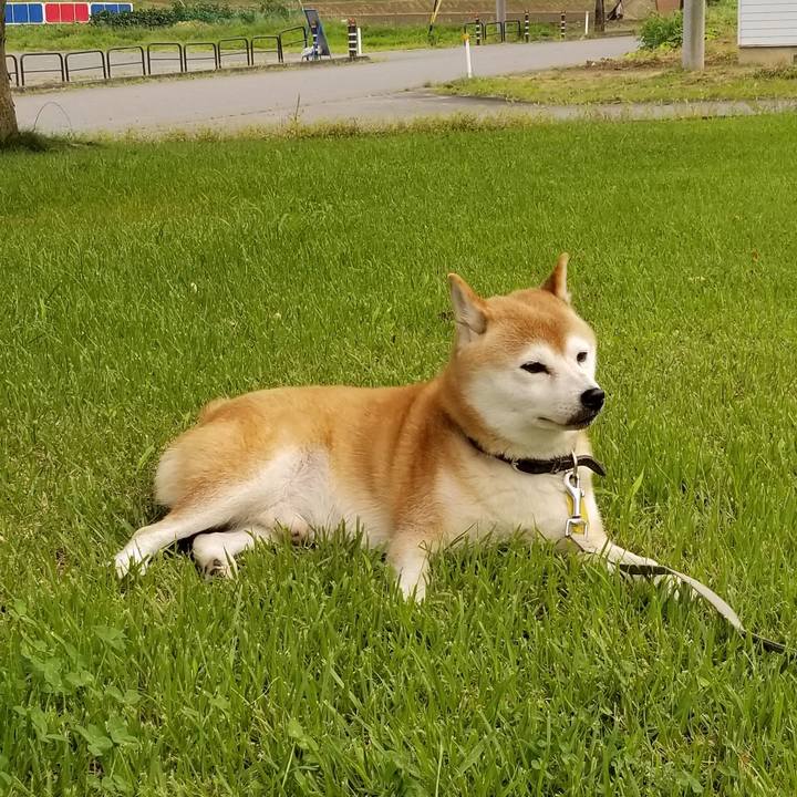 6fb2e9de 47cd 49cc 80c5 dd68970c99f9 1630397844488