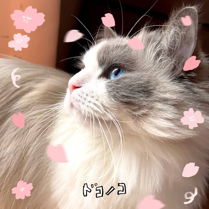 6fb307ab d10d 4007 9111 2c0bc9c08ec2 1744267994648