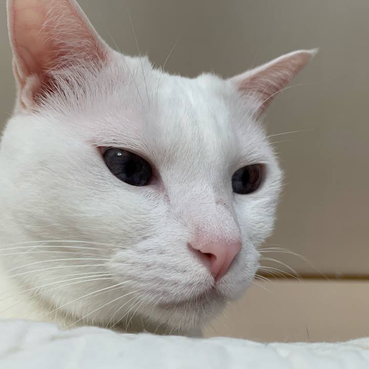 6fb31272 58c2 4b4b b75d 5a3b4522b0f7 1603600839198