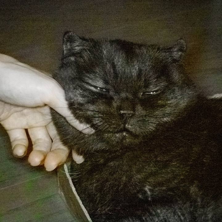 6fb33720 9689 4ce7 b69e 6133409ed408 1538667368937