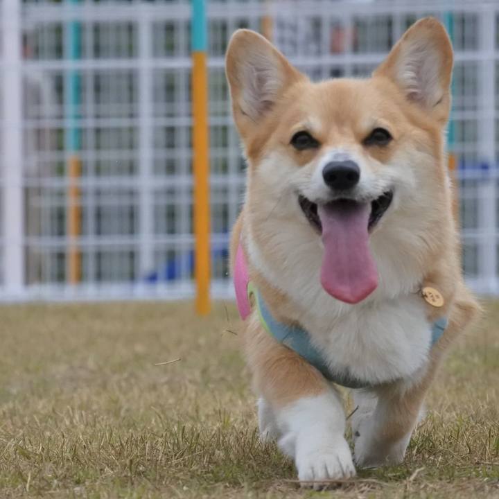 6fb342d5 663a 488d 99f5 738a06844a24 1592224875283