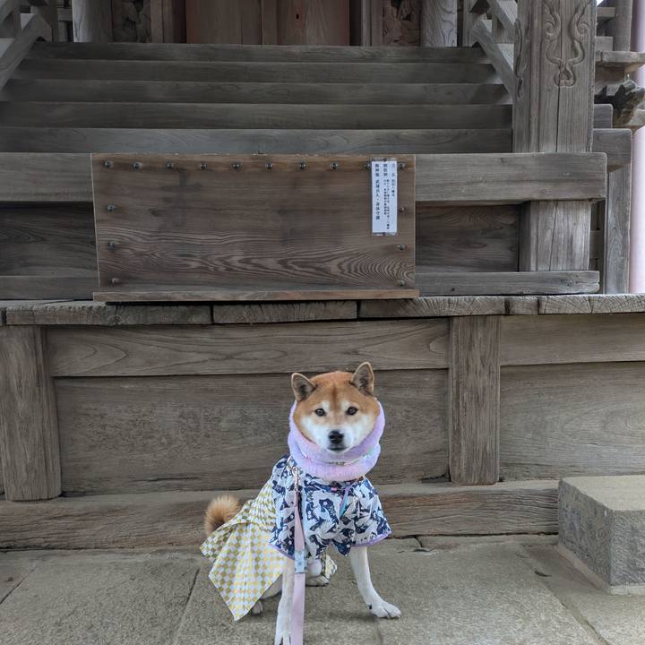 6fb35296 543b 4bbc 98c3 156eea421c3f 1736162792310