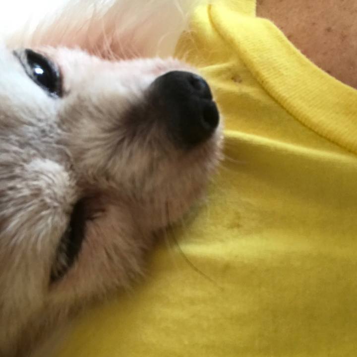 6fb36b68 944a 4ef5 9089 44036de91033 1529913717741