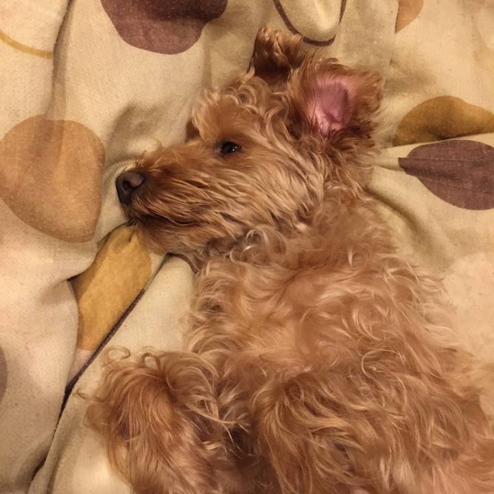 6fb383af b825 47bb 9571 22babdaaa8a8 1524665082623