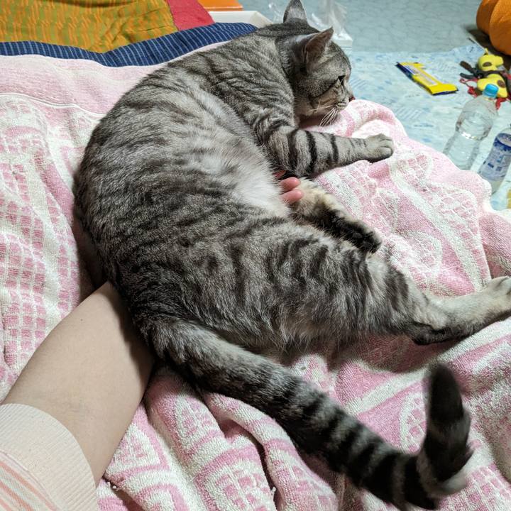 6fb3c0ec 94f8 4126 a036 c860d5271744 1713018302525