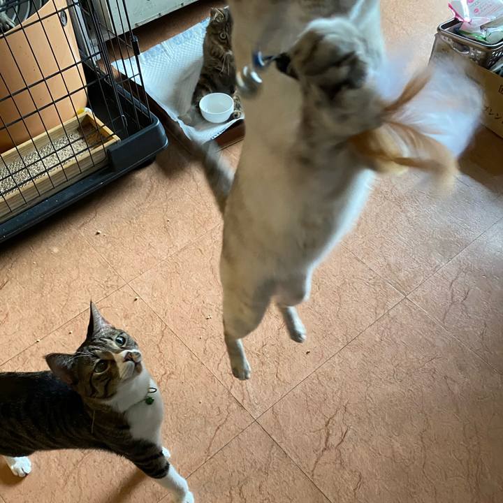 6fb3c426 9c81 43e8 8cb5 b2320bc3305e 1721122280340