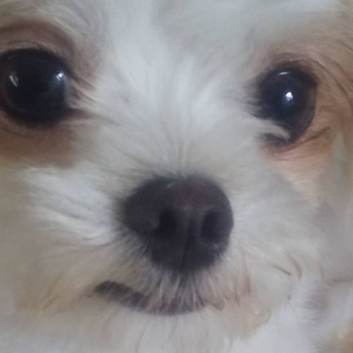 6fb3cd9d e842 4e19 80e0 4b1f2c689970 1688132144506