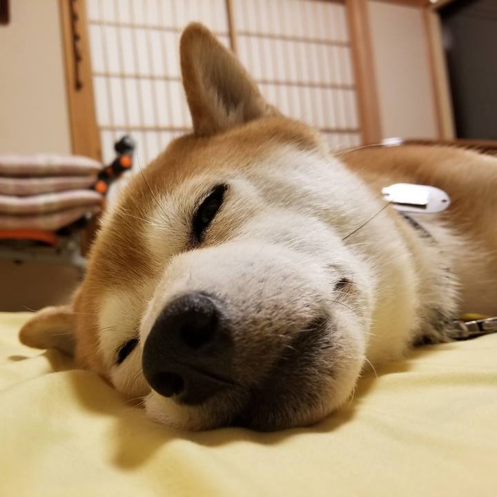 6fb40a8b a0e2 436b 8bc1 22059d71adef 1565272125174