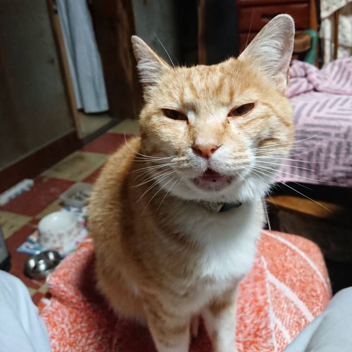 6fb419da 510a 45bf a53f 5e0d45c93f5a 1590091147430