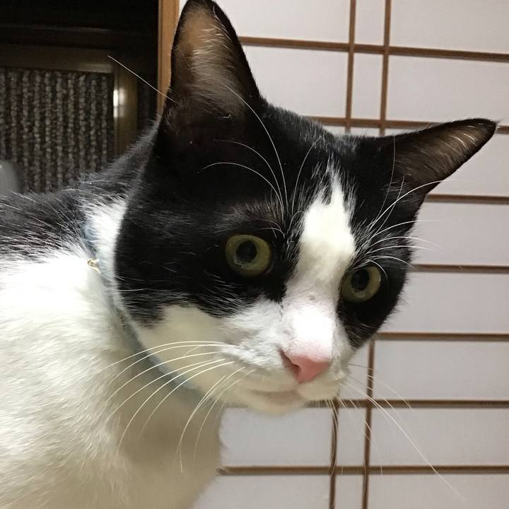 6fb46d76 82fb 4209 86ca a35bc801c5f5 1737202315365