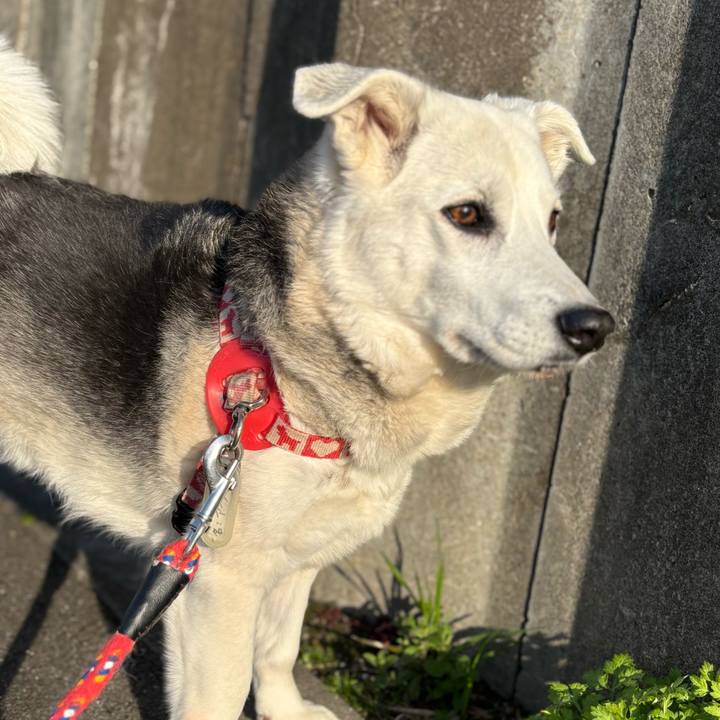 6fb4971d c460 488f 870b b5acb95141bf 1742981790193