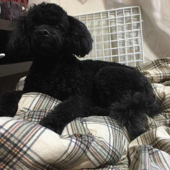 6fb4e30c 3ef8 4be2 82f5 488a4e286278 1517896523647