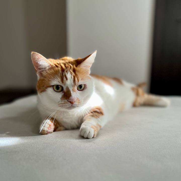 6fb53d6a 7df3 4563 8348 d9faae9f254f 1758858111081