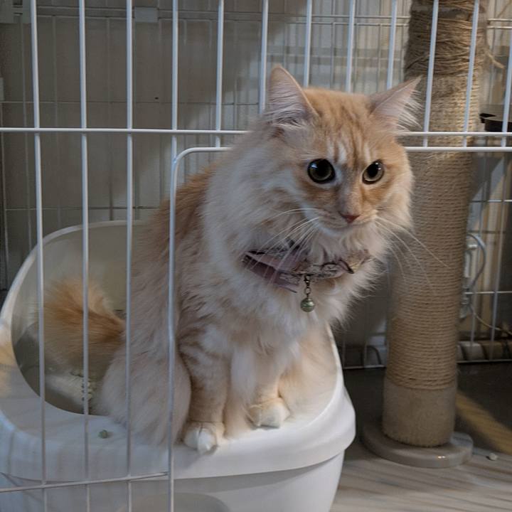 6fb54f36 0c57 4932 b497 5a1a8ea80862 1738309165057