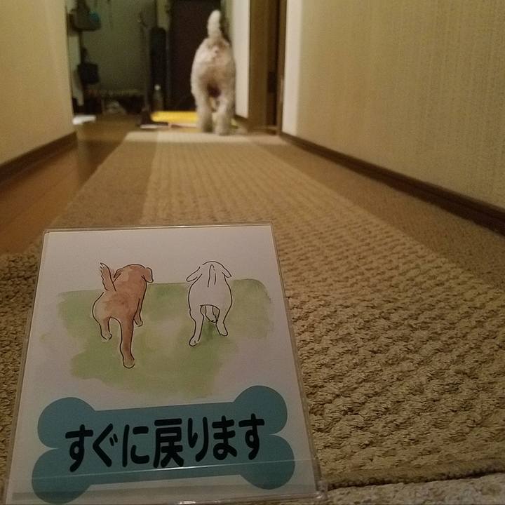 6fb552d9 3db3 46b6 9947 71ef848ecf38 1545400484711