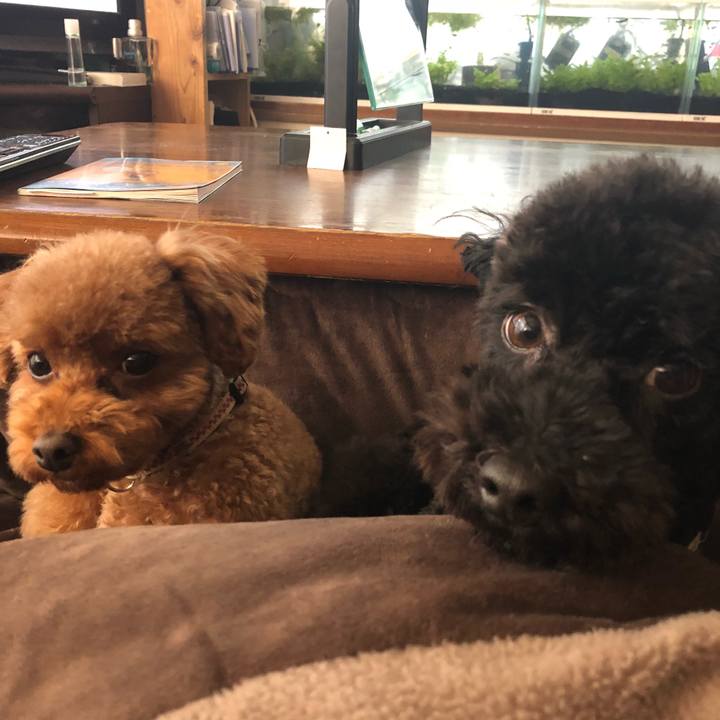 6fb579fe ebd3 4573 a0dc 90b00d686e6e 1547022095951