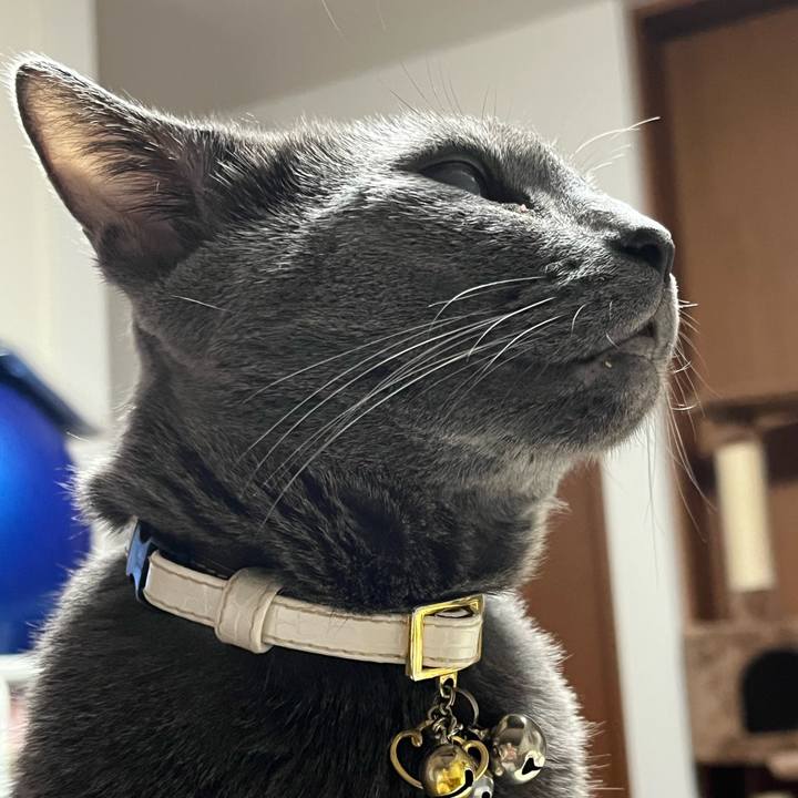 6fb5874a 5ffd 46f9 9d79 458331a1cbeb 1692871274956