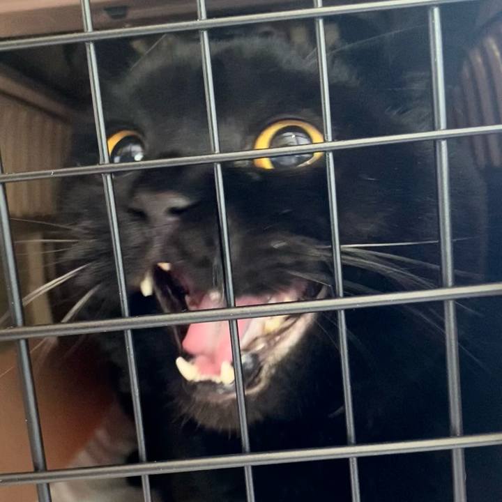 6fb5a579 071d 4ea3 992e e22fe380882e 1769220830548