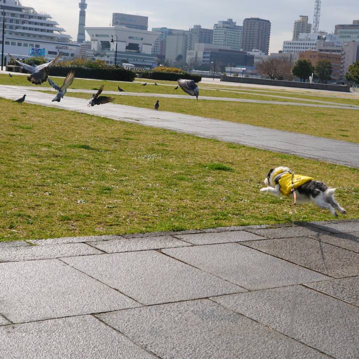 6fb5bea1 d4e8 4a09 ac26 de3dca32b843 1615284846061