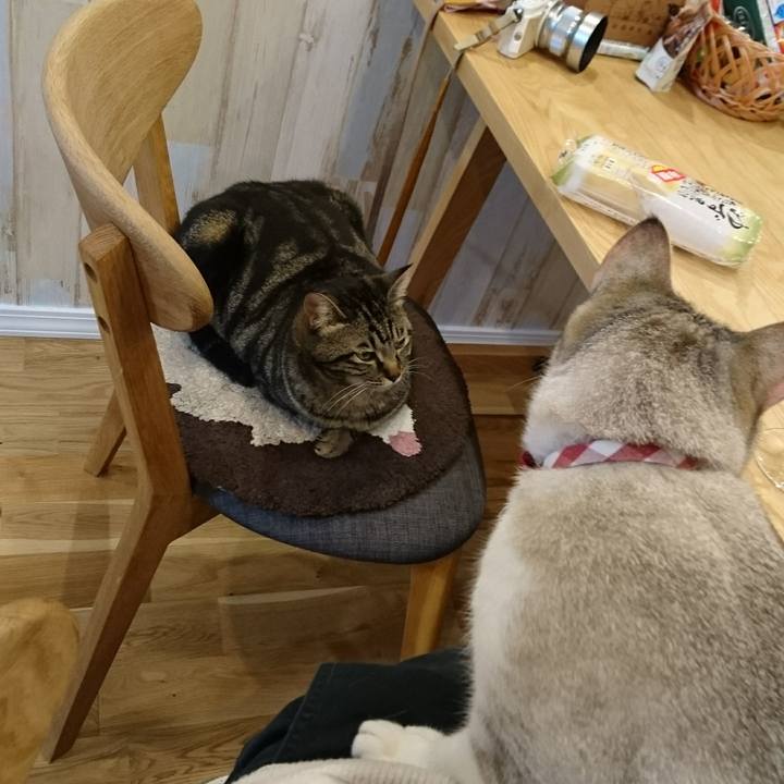 6fb63999 4c7b 44bc 837f 69dcb957e6bf 1558700641989