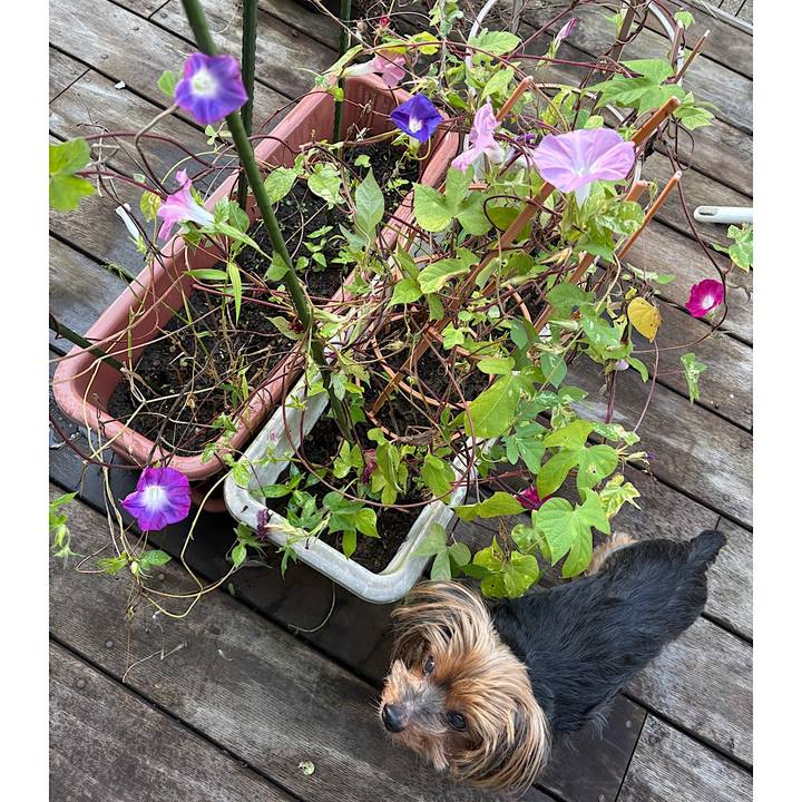 6fb66255 1d72 421b bf32 d889e9b4f229 1728690909855