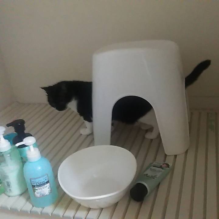 6fb66414 1543 4316 b65b b678e241fde4 1565753011875