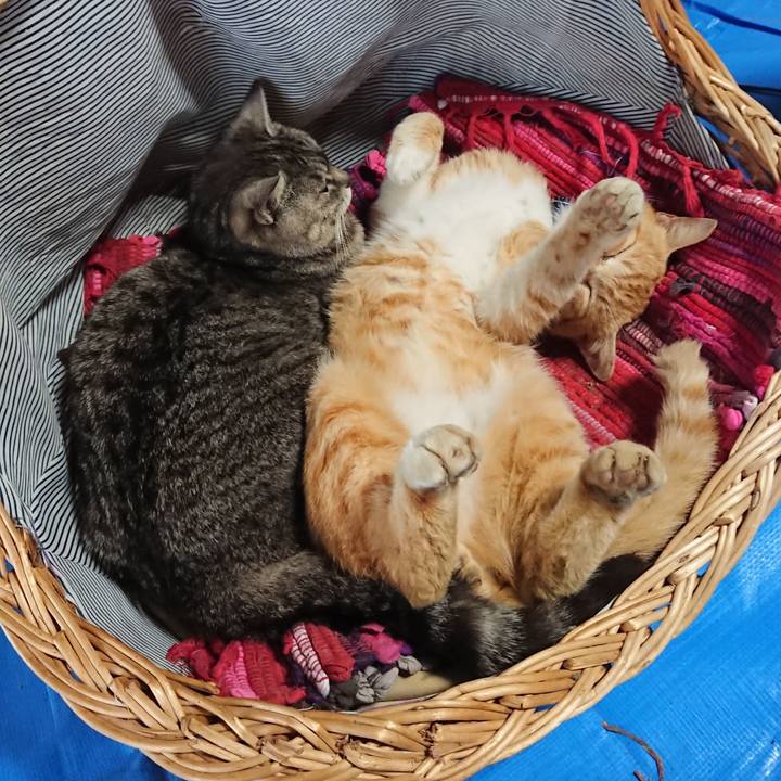 6fb6bf06 6cb6 4c7e a8b6 9e5164a4790f 1558130376811