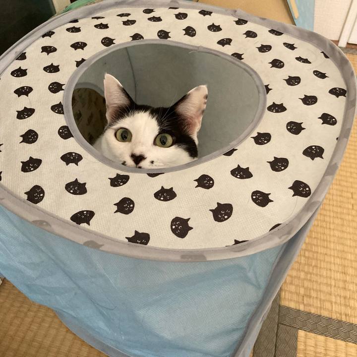 6fb6e089 e1af 4f41 8b63 658223fd1934 1760314126022