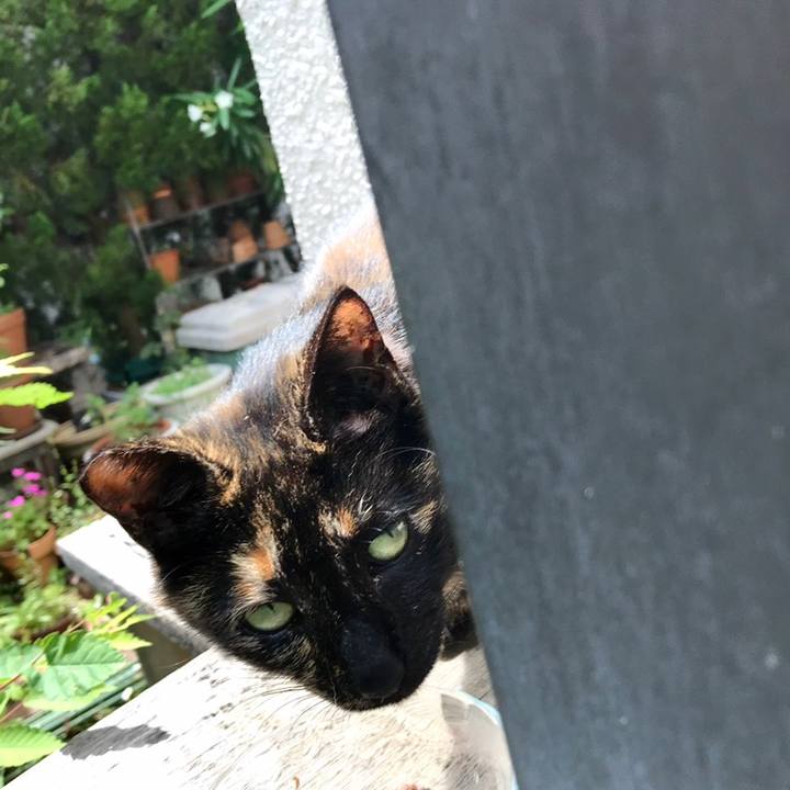 6fb6e9b0 adb2 4ed9 bd54 25e43e65f181 1559609770662