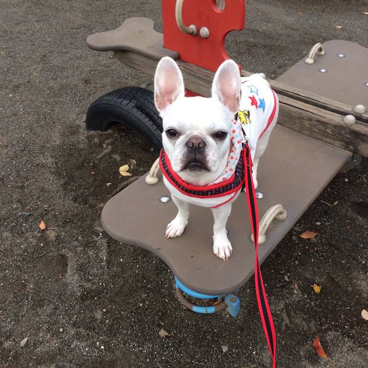 6fb70897 869c 49d4 b818 03662b095ae9 1524832628878