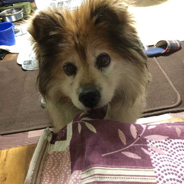 6fb74b4e 42ea 418a 9c76 85e79dfd9153 1557319924941