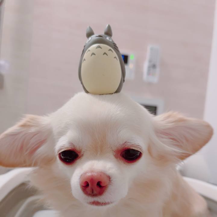 6fb77de7 c2f8 44b2 aa72 dbaf5fd6e6c8 1702561962379