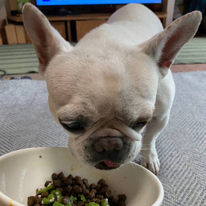 6fb7a686 51d3 4d53 947c f3206d27bb16 1721291363048