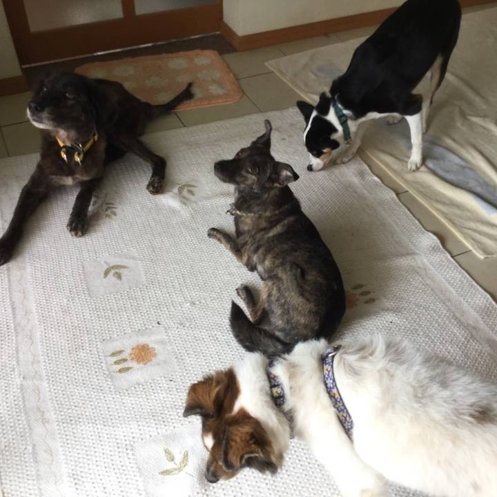 6fb7d307 3999 4ddf 9de6 66c2235b25b3 1602478719340