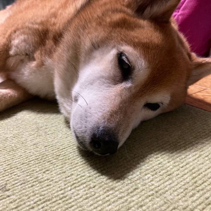 6fb7d556 7a19 4b77 a96b dc2367d195b3 1716107715537