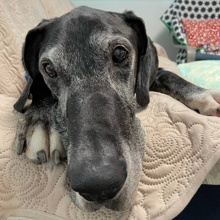 6fb843c0 af9f 42c6 9947 5a8ea3c55422 1620773643895