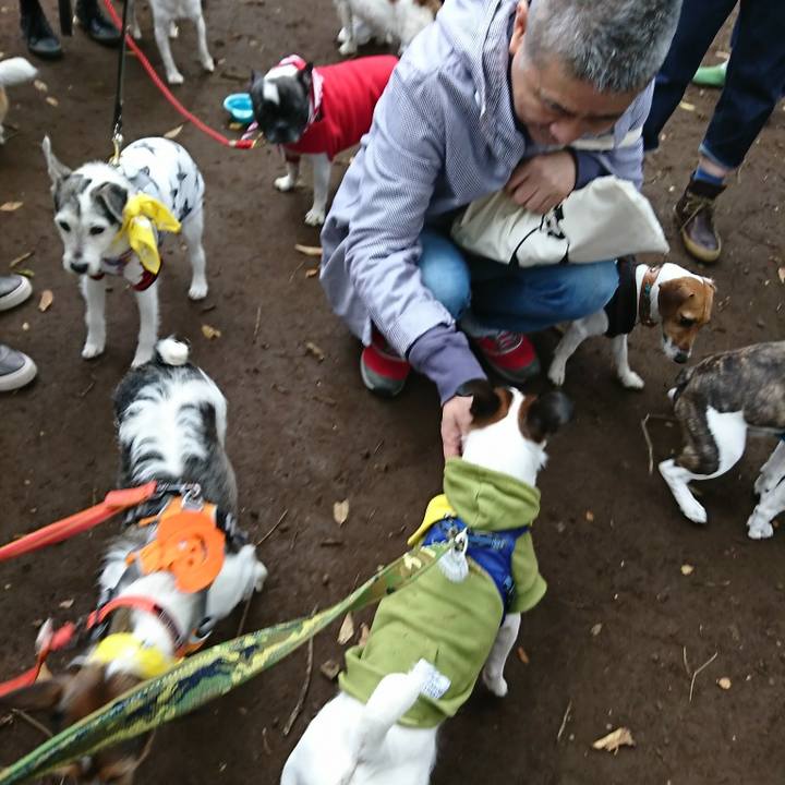 6fb84646 acf3 436c a650 18cf510646ec 1509164350303