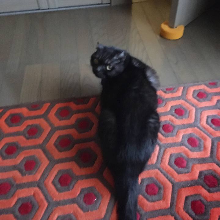 6fb8773b a994 4a48 90c2 80d0d6284b30 1580954479072