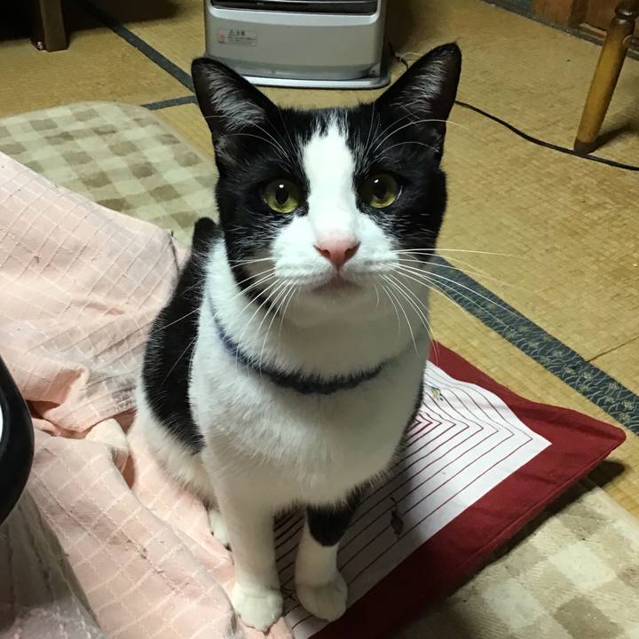 6fb8820e bc3e 4eb9 9939 28e19ea7608f 1670150673603