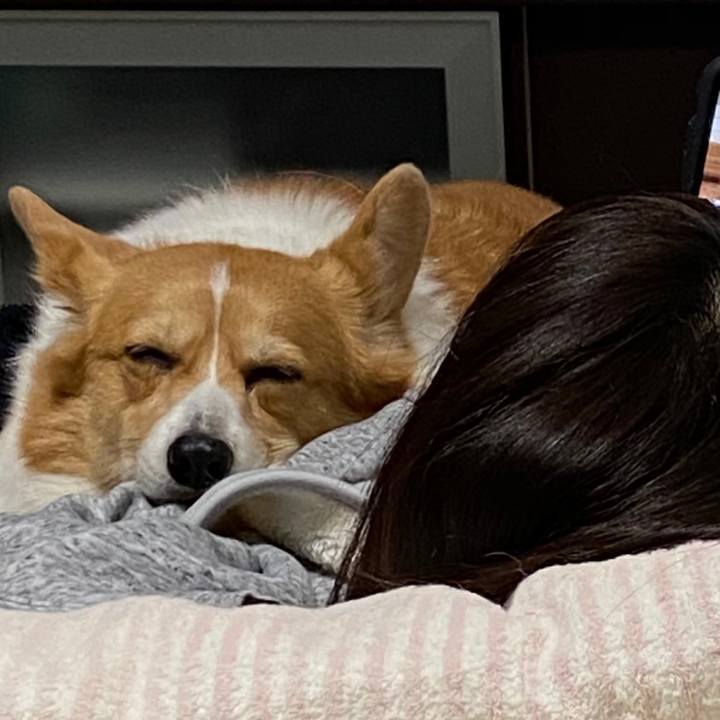 6fb8cc66 6bf9 4e79 9a36 d92252f3c413 1608259743844