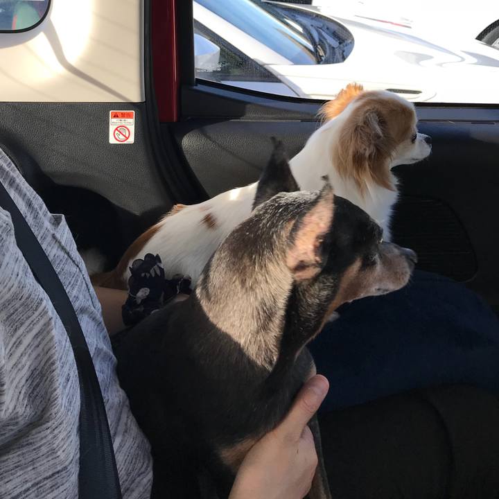 6fb8d1d5 9cc3 416c be08 16e4f13b1e70 1534544937453