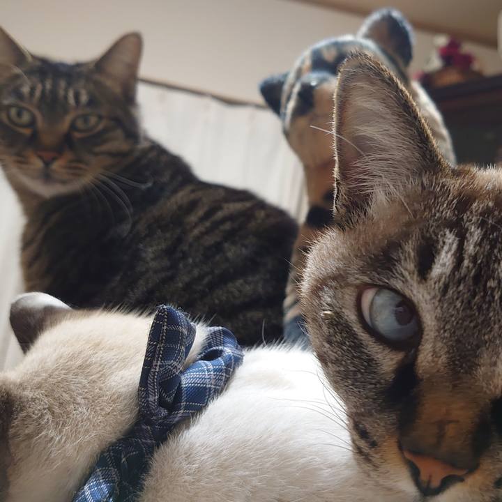 6fb8d4df bcbb 4014 aebc 540e57e7cb2d 1670333407887