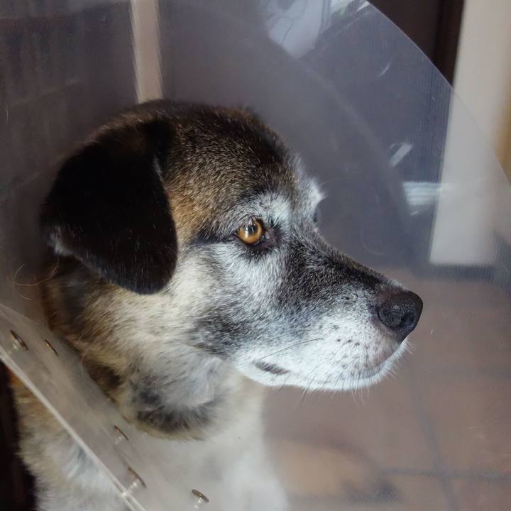 6fb916e2 ea40 4bcd 9058 d0d72660d30e 1645232979334